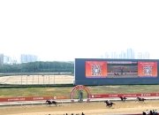 开云体育入口-体育赛场上的盛大狂欢，观众沸腾不已