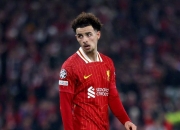 开云体育在线-利物浦连胜对手，力争欧洲足球联赛冠军之路的简单介绍