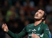 开云平台-包含柏林联队战胜对手，继续稳中有升的词条