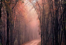 开云体育平台APP-勇士B队横扫热火，麦科勒姆爆发神勇