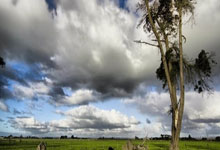 开云体育官网-英格兰羽毛球队强势击败法国羽毛球队，马琳完美统治全场