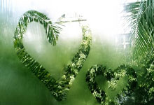 开云体育官网-英格兰羽毛球队强势击败法国羽毛球队，马琳完美统治全场