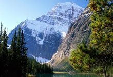 开云体育官网-JDG绝地反击Astralis，Doinb统治全场：一场电竞经典对决的背后故事