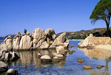 开云体育官网-英格兰羽毛球队强势击败法国羽毛球队，马琳完美统治全场