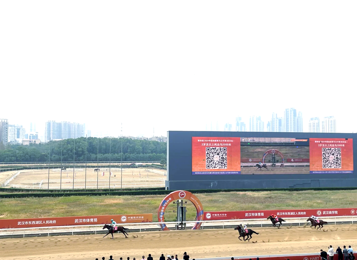 体育赛场上的盛大狂欢，观众沸腾不已