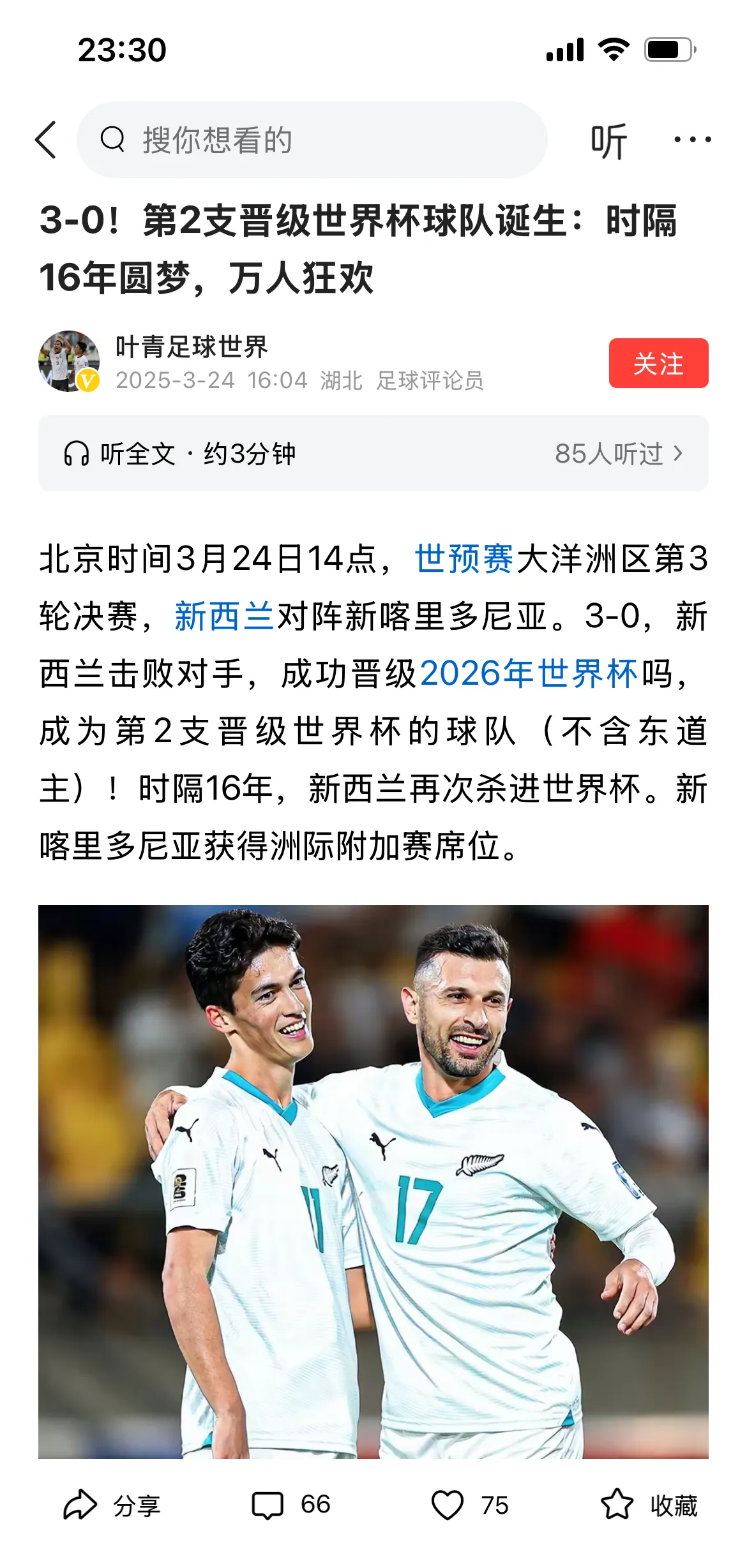 澳大利亚队在国际友谊赛中战胜新西兰队 澳大利亚队在国际友谊赛中战胜新西兰队