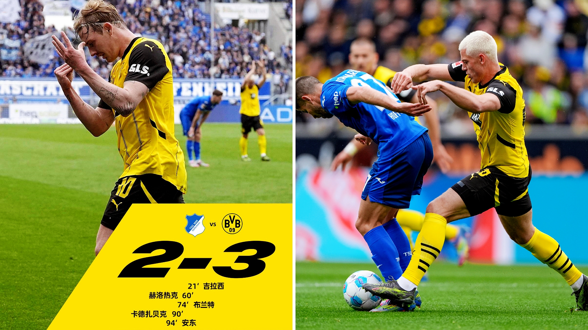 关于霍芬海姆主场击败对手，保持不败纪录的信息