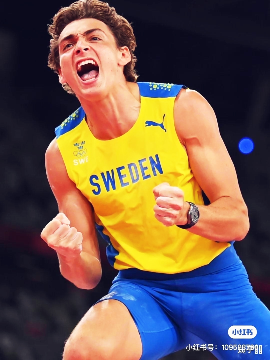 奥运会选手刷新世界纪录，震撼全场的简单介绍